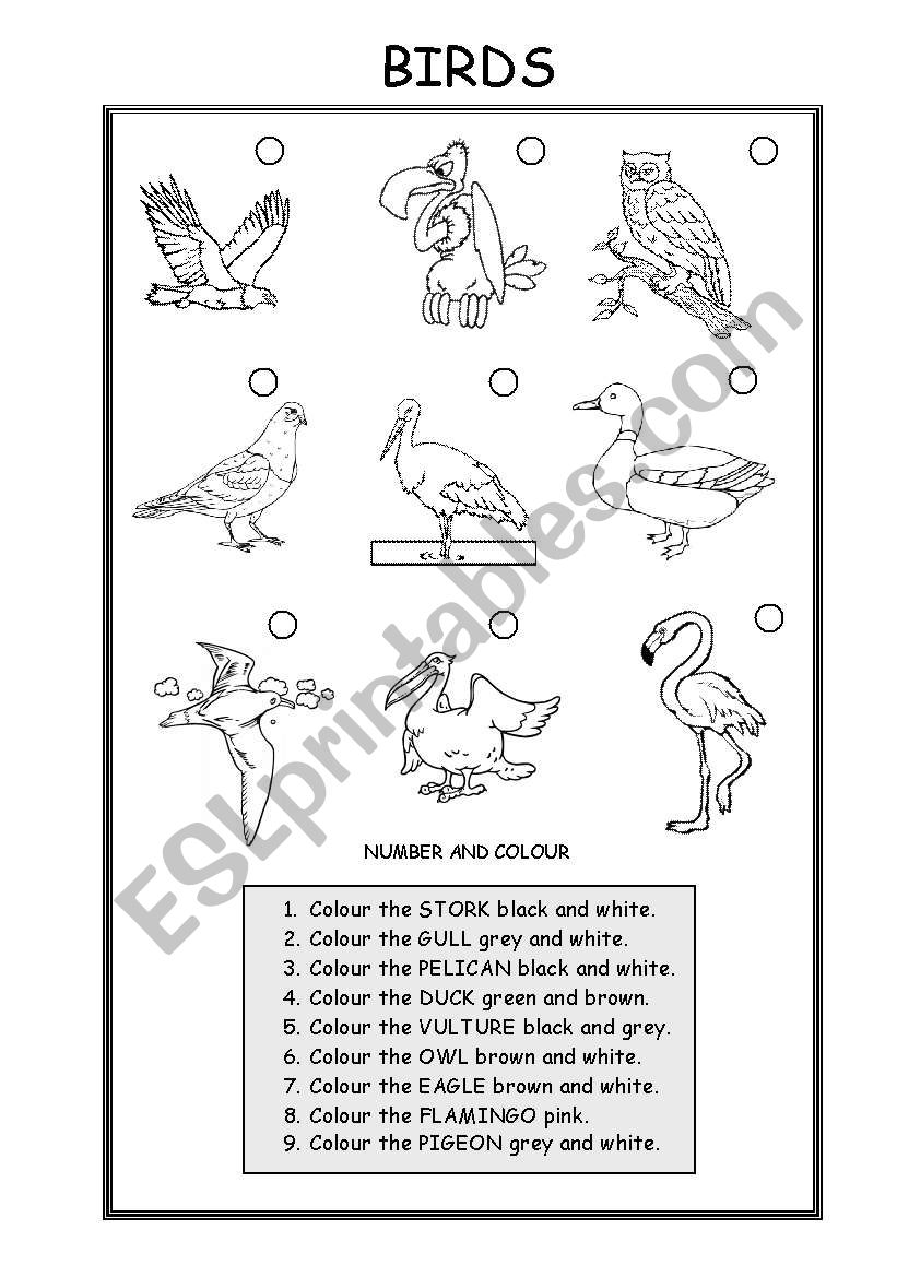 ANIMALS (BIRDS) worksheet