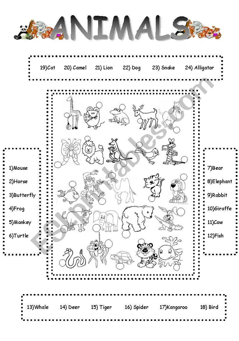 animals worksheet