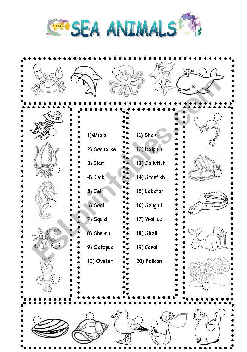 sea animals worksheet