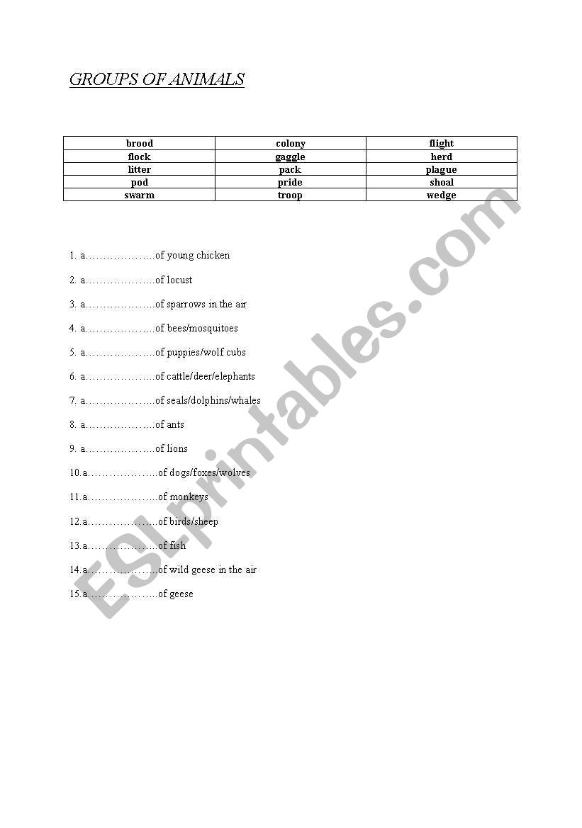 group of animals worksheet