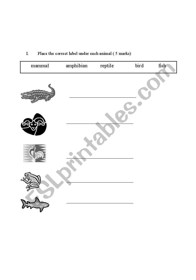 vertebrates  worksheet