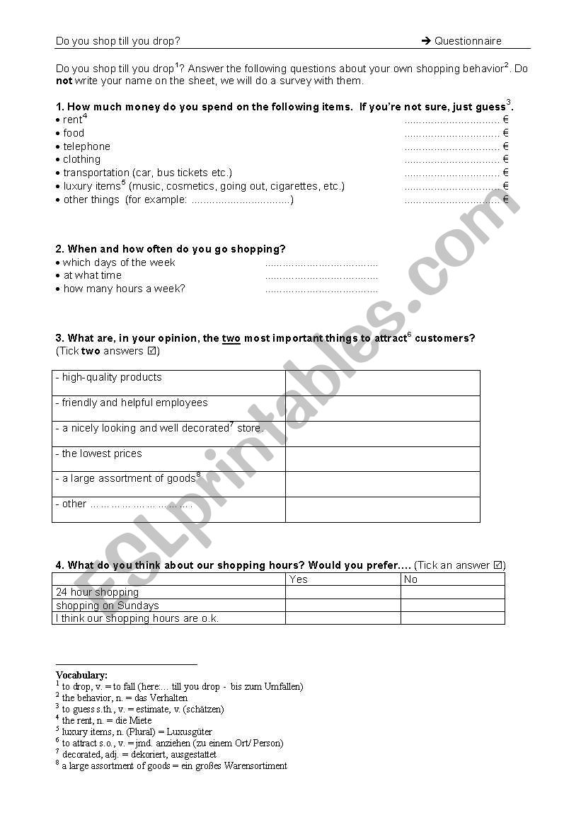 A shopping survey worksheet