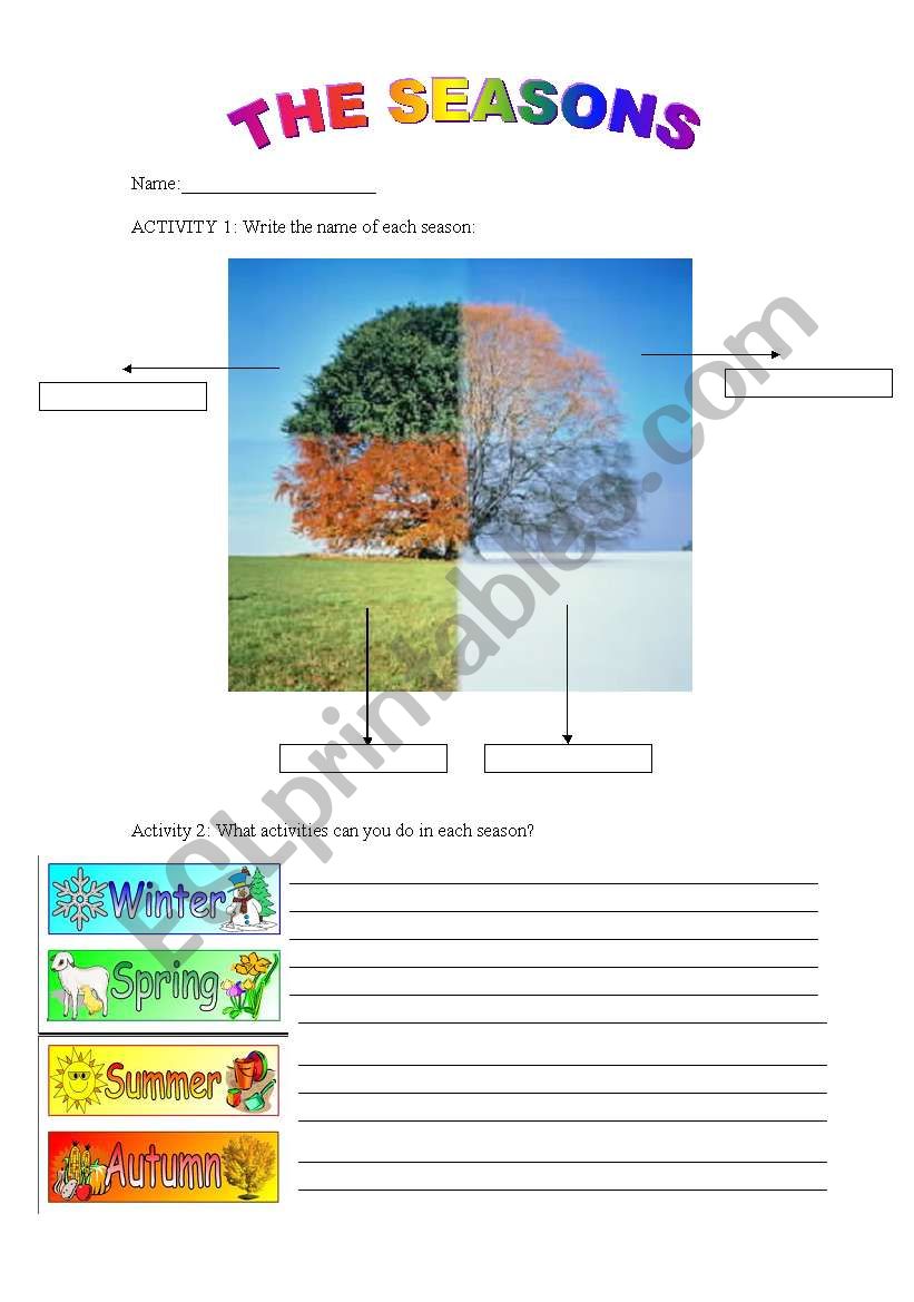 THE SEASONS worksheet