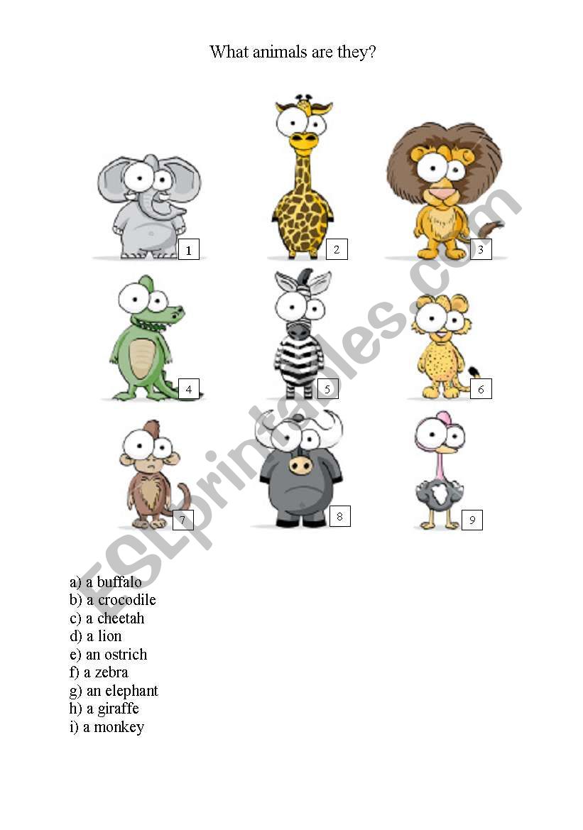What animals are they? worksheet