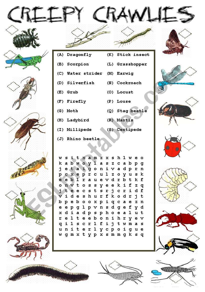 Creepy Crawlies - Insects worksheet