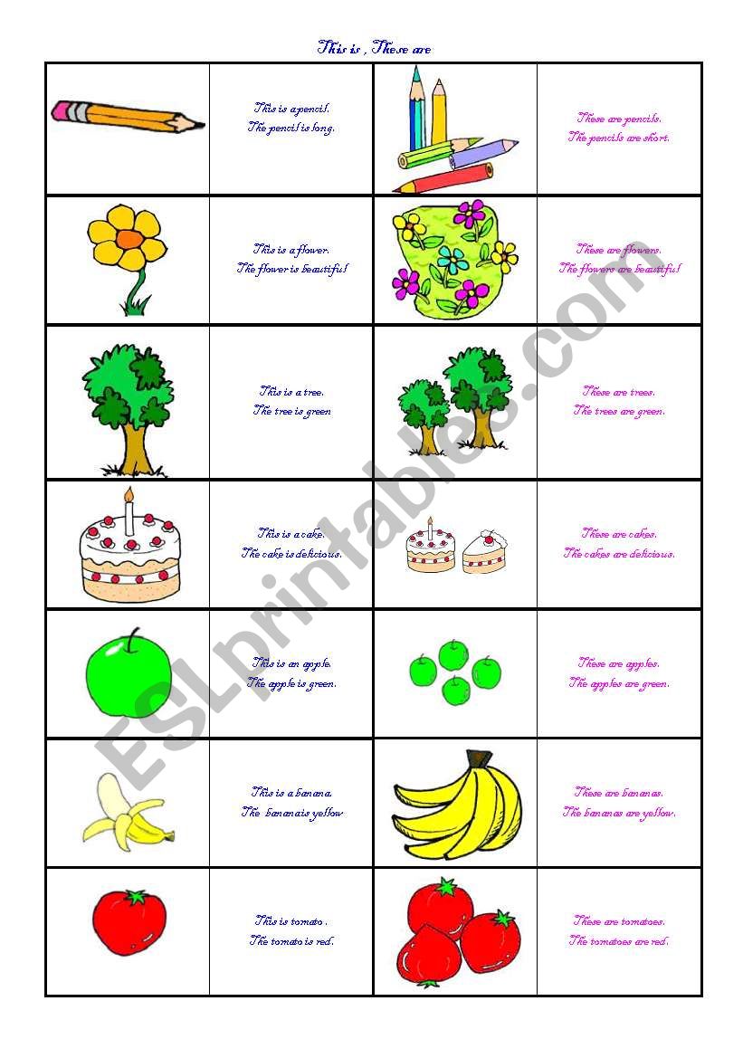 Singular and Plurals worksheet