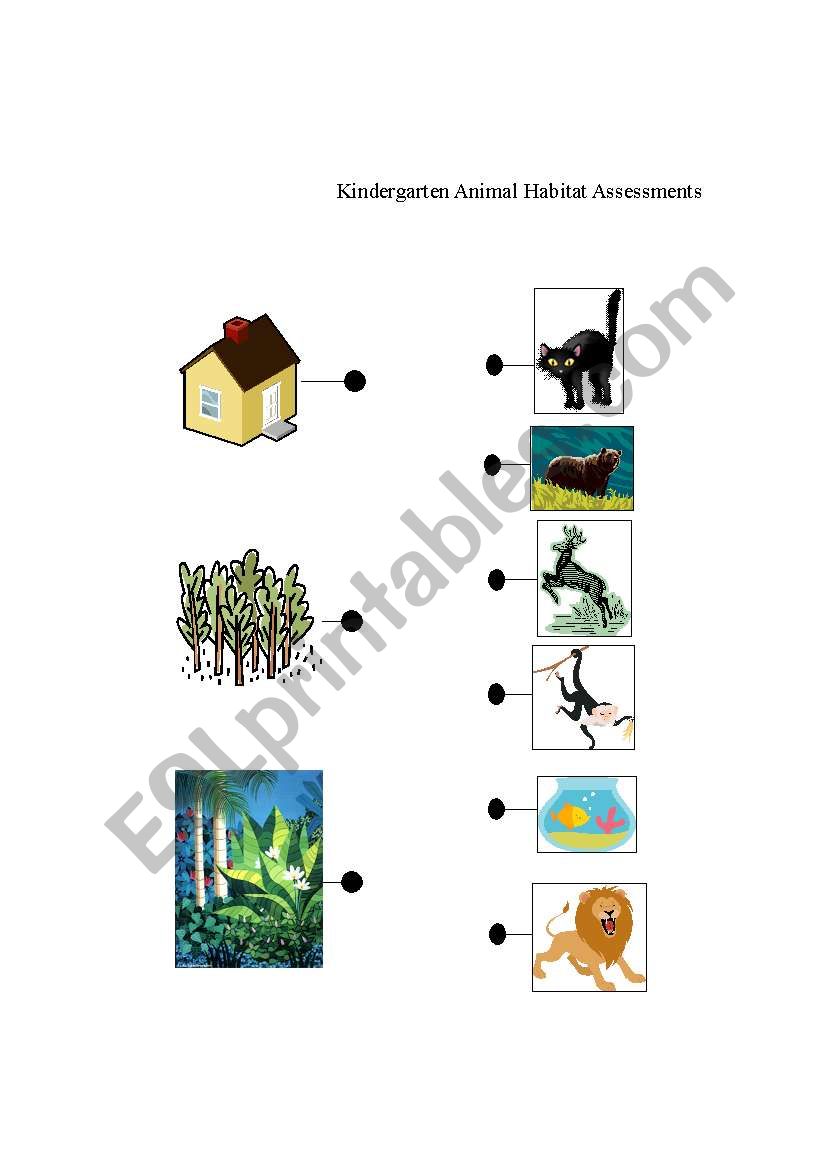 Animal Habitats Assessments worksheet