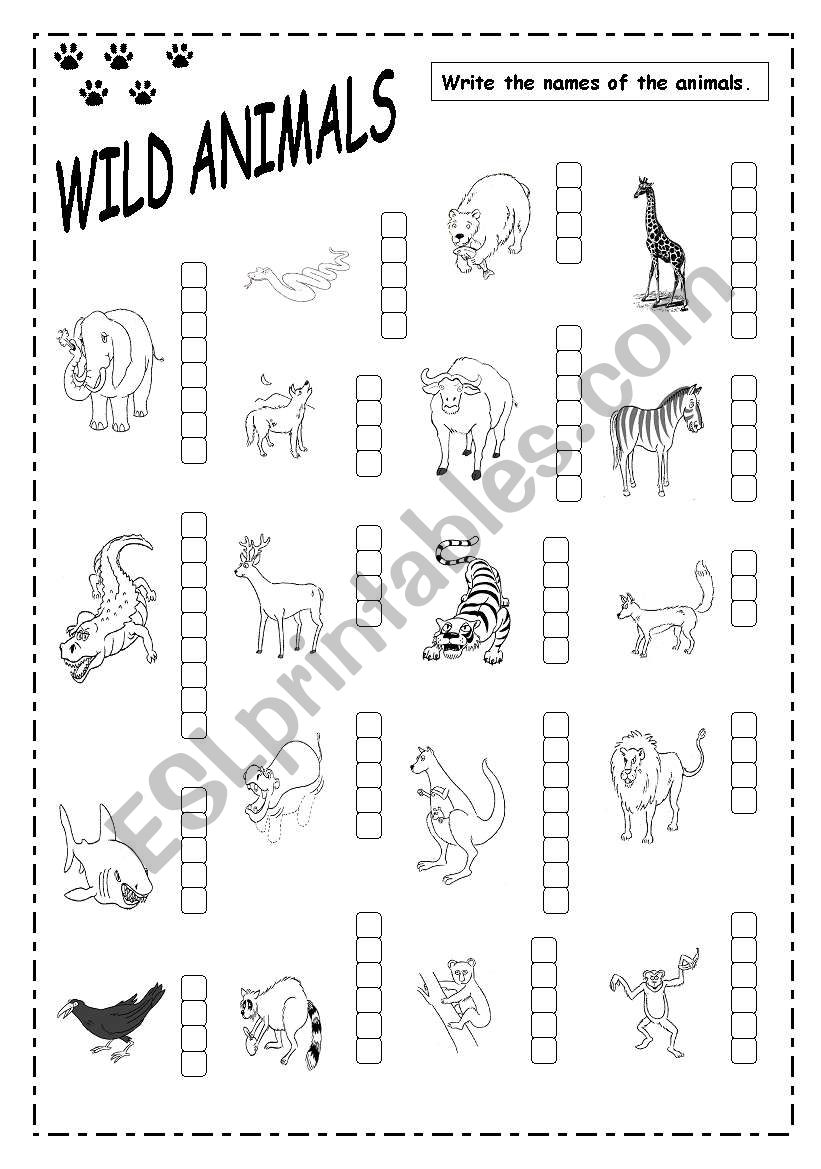 WILD ANIMALS worksheet