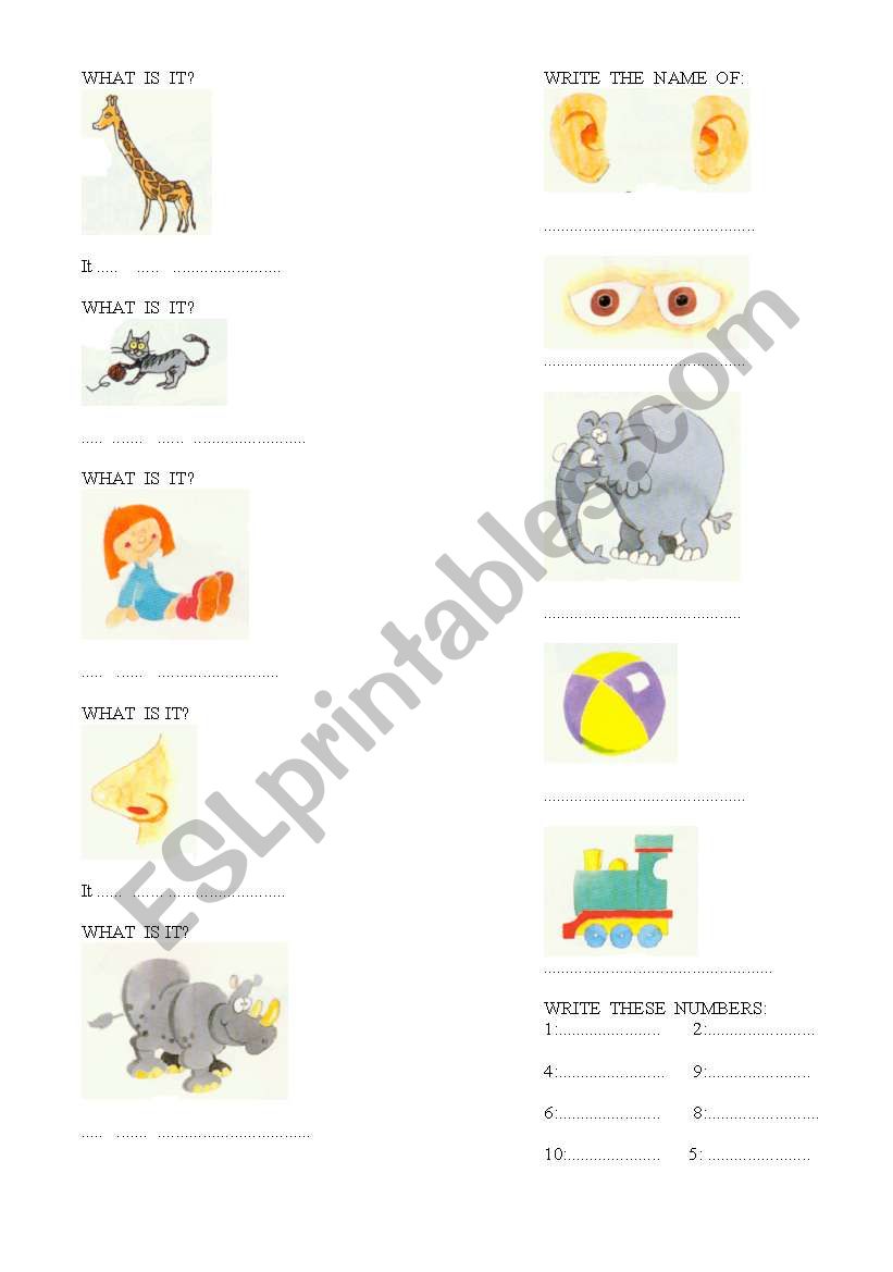 test for 2 grade worksheet