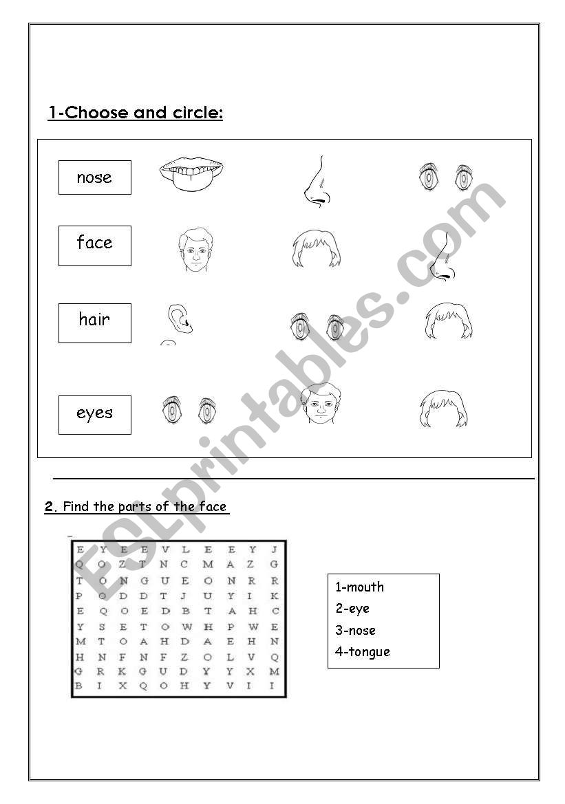 Face worksheet