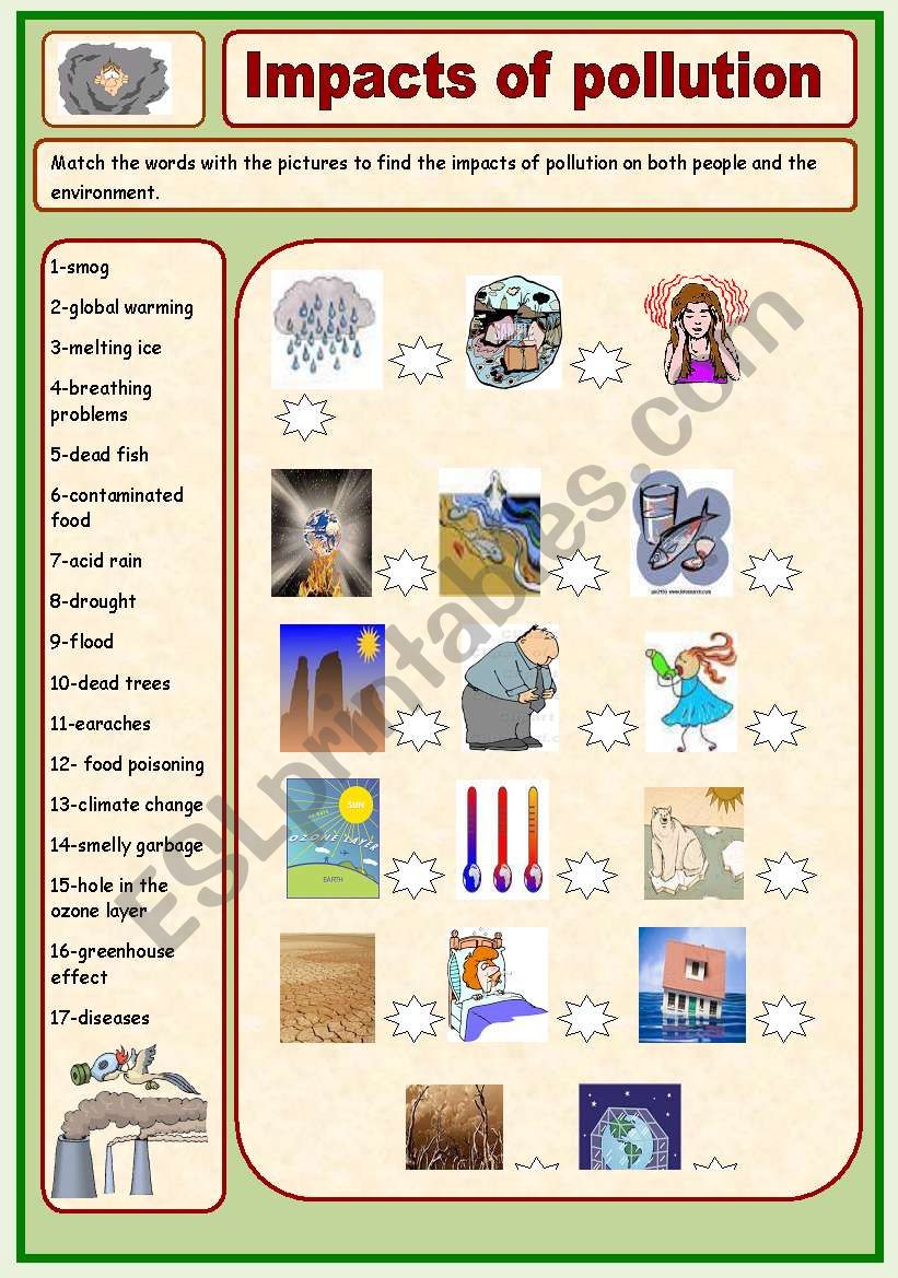 Impacts of pollution worksheet