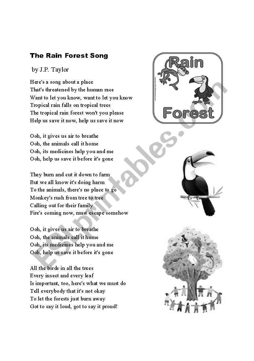 The Rainforest Song by JP Taylor