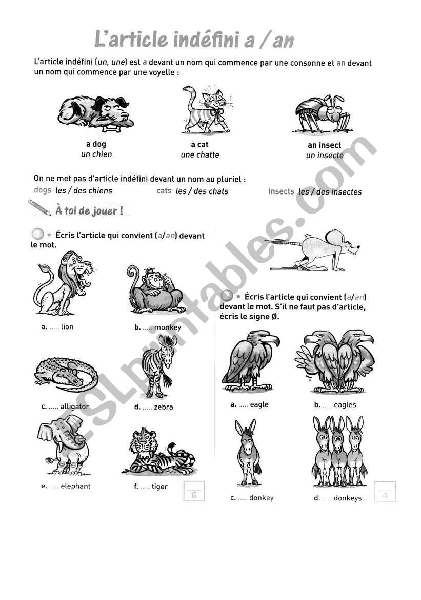 A and an worksheet