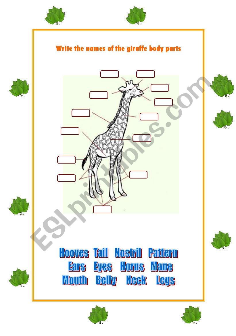 Giraffe Body worksheet