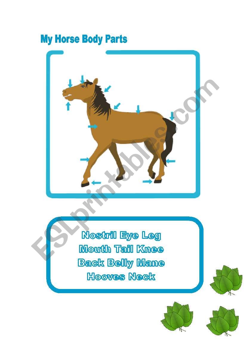English worksheets: Horse Body Parts Inside Parts Of The Horse Worksheet