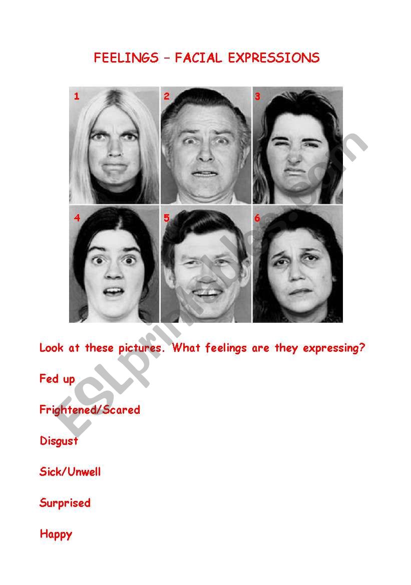 Facial Expressions - Feelings worksheet