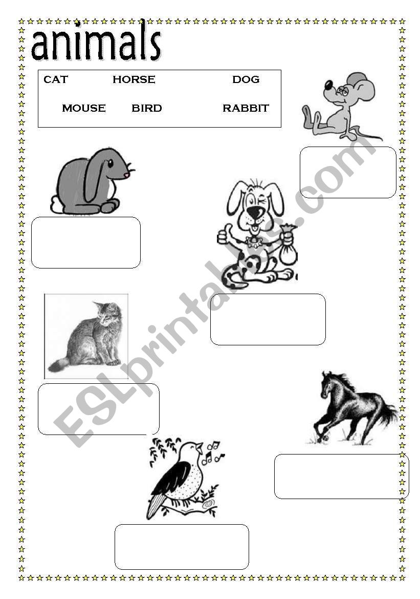 Animals worksheet