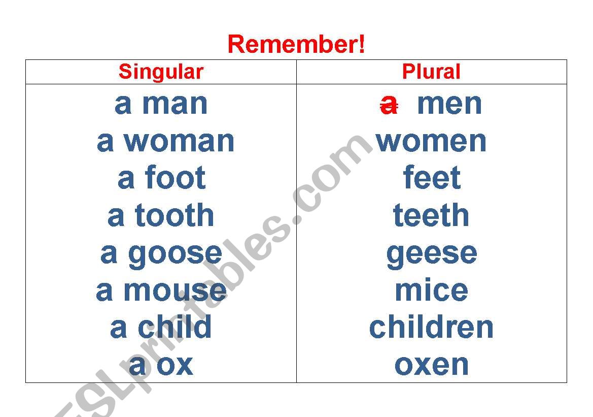 Nouns worksheet