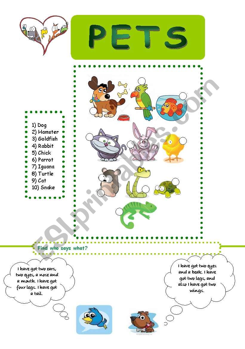 pets worksheet