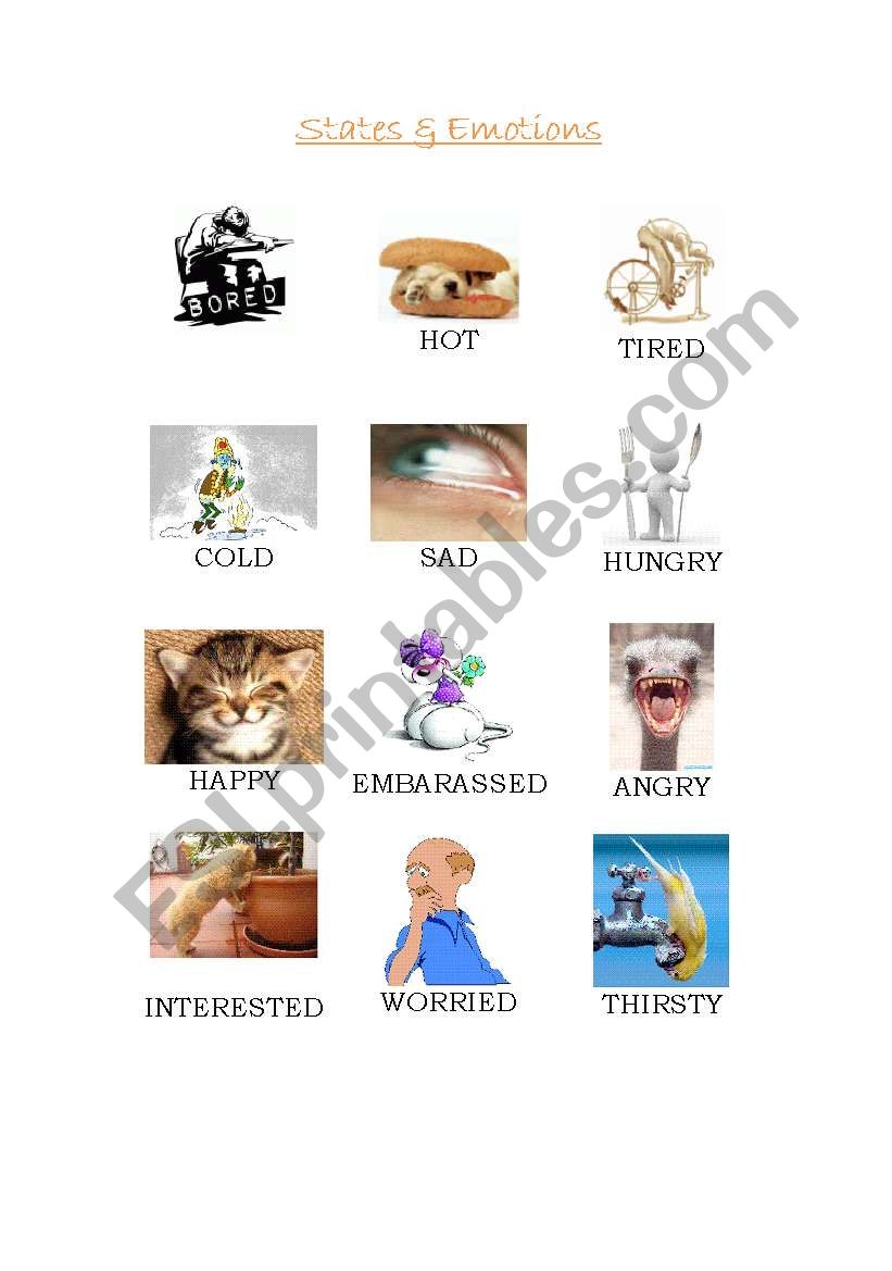 States&Emotions worksheet