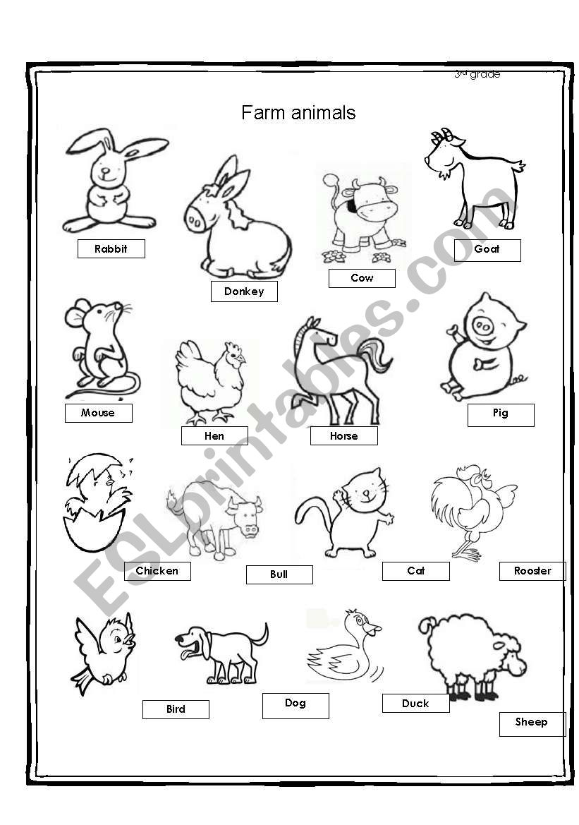 farm animals  worksheet