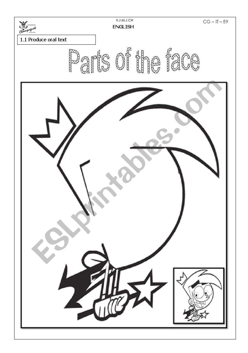 Parts of the face worksheet