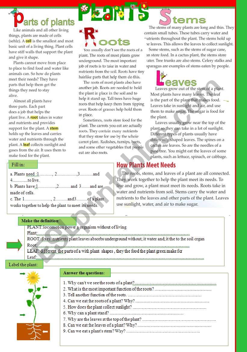 The science lesson- PLANTS worksheet