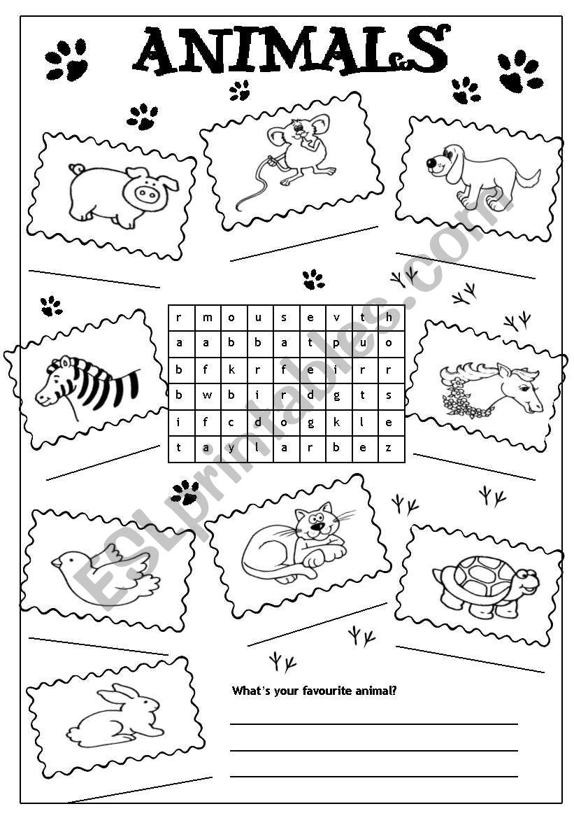 animals worksheet