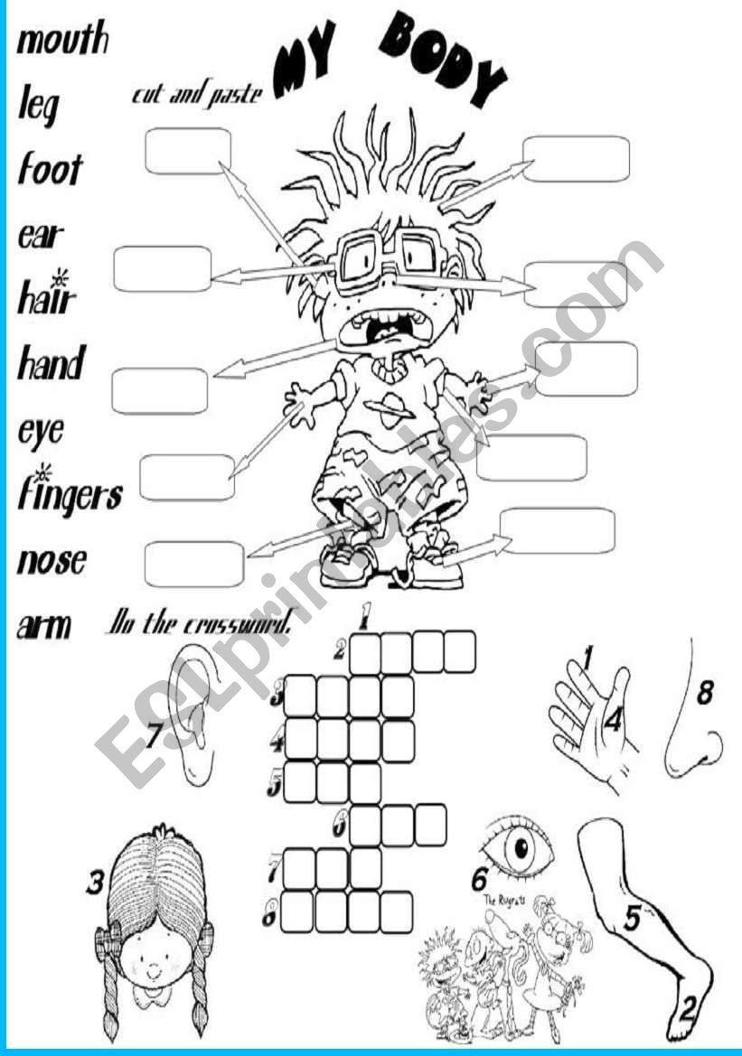 my-body-esl-worksheet-by-angelamoreyra