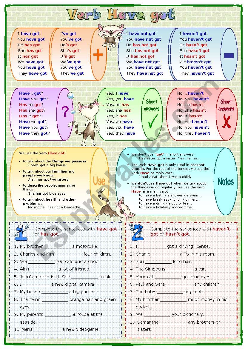 Verb Have got worksheet