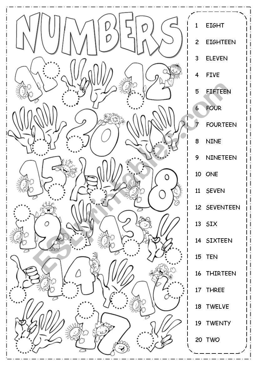 Numbers from 1 to 20 worksheet