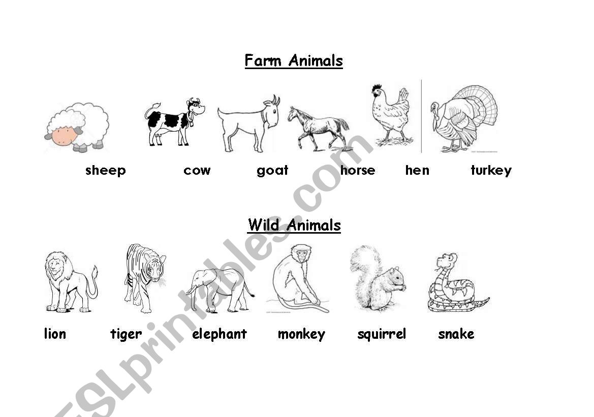 farm animals worksheet