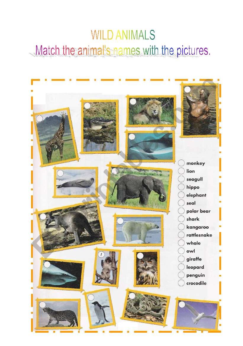 WILD ANIMALS worksheet