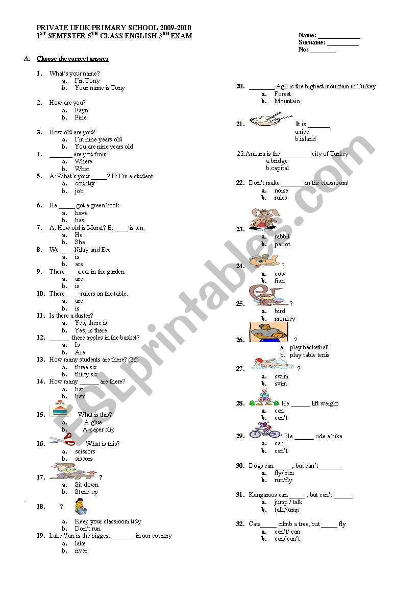 test worksheet