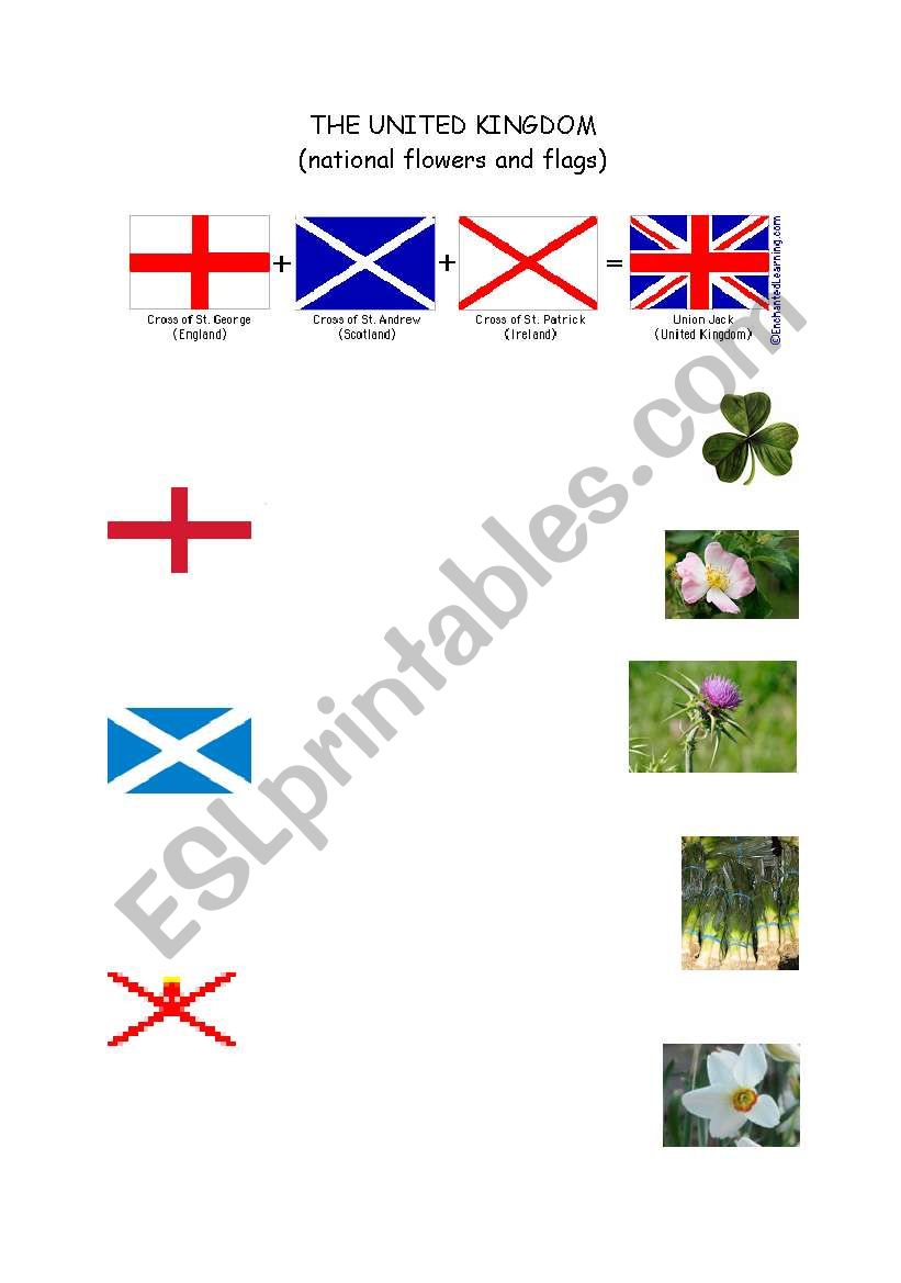 The UK (national symbols/flowers)