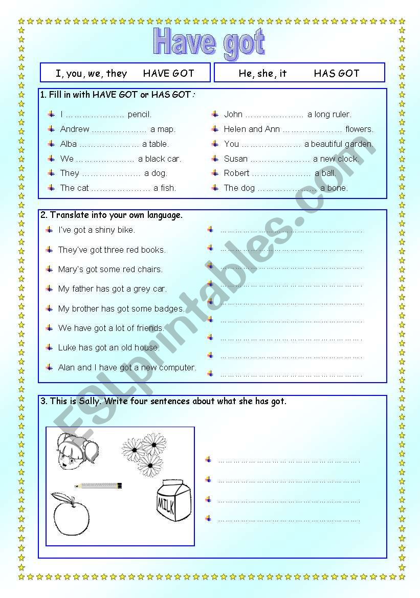 HAVE GOT (Affirmative) worksheet