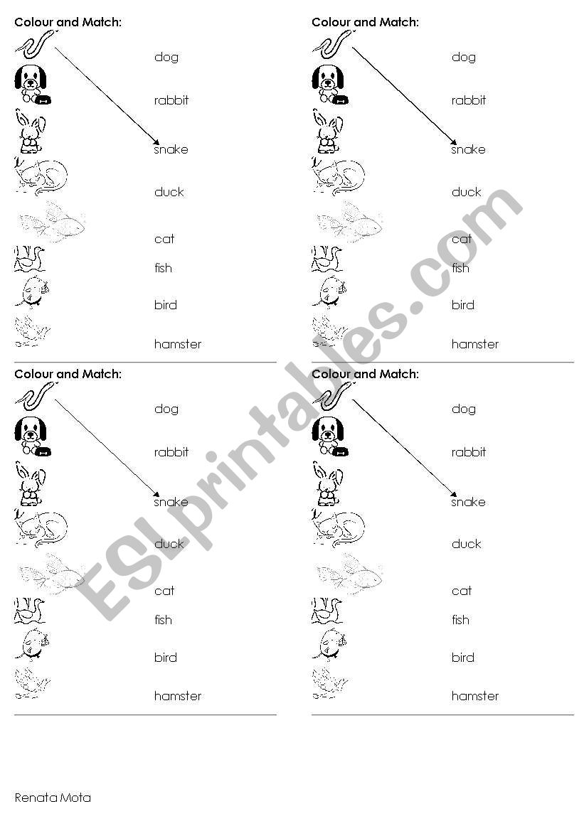 Pets matching and colouring worksheet