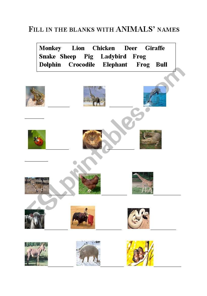 Animals Names worksheet