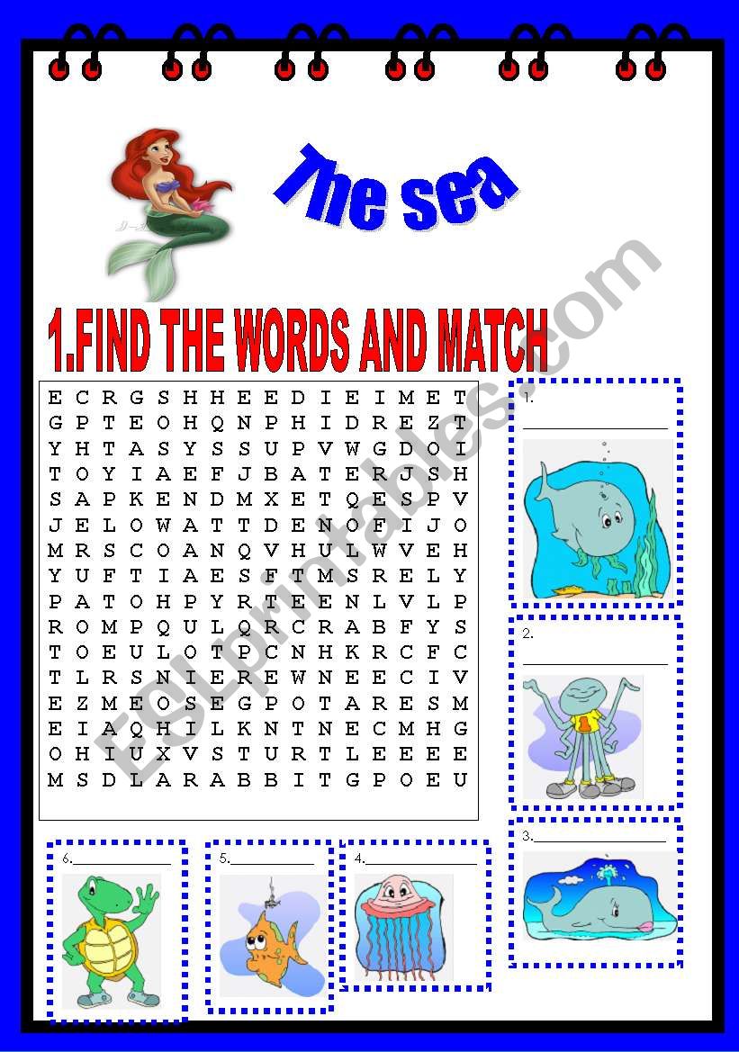 THE SEA worksheet