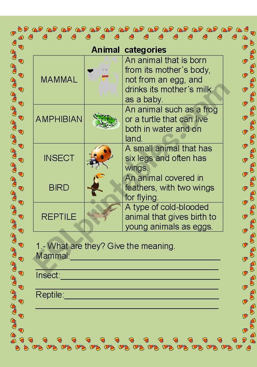 ANIMAL CATEGORY worksheet