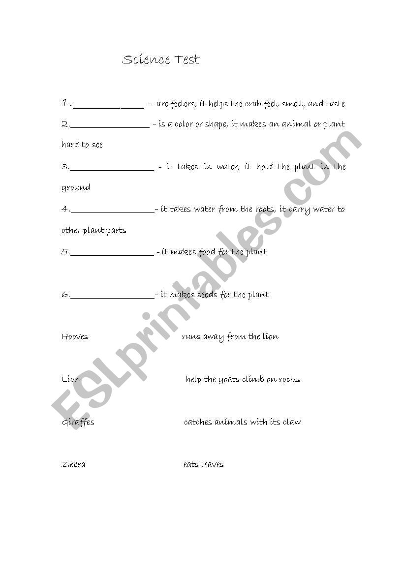 Science review worksheet
