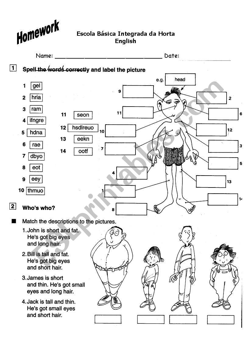 describing people worksheet