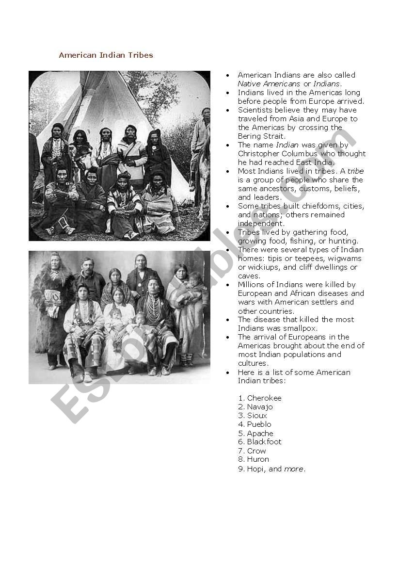 American Indian Civics Lesson worksheet