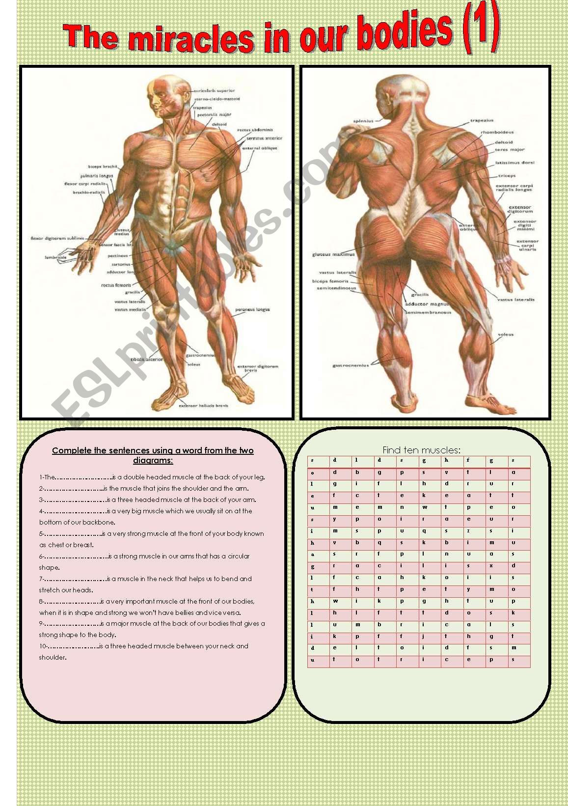 The miracles in the human bodies (1)