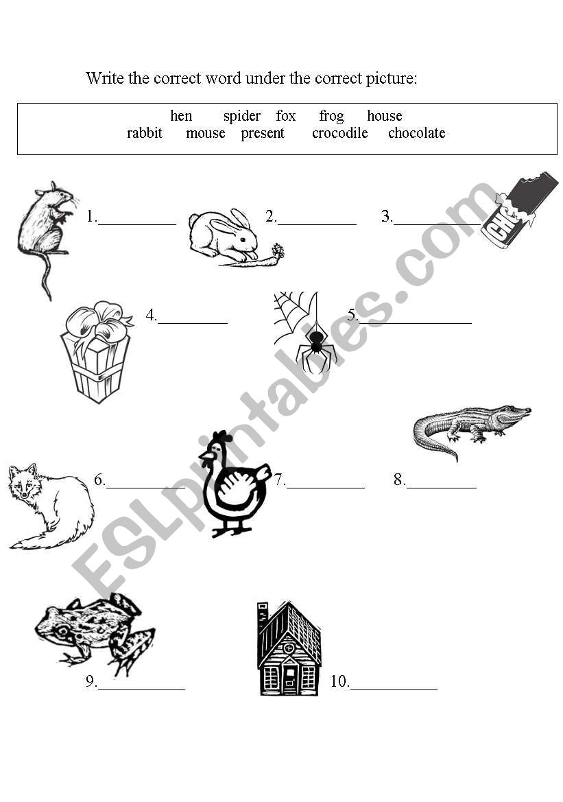 vocabulary juniors worksheet