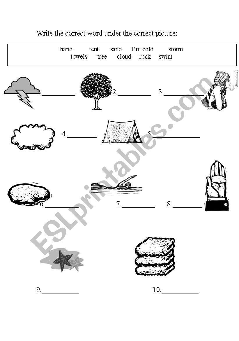 vocabulary juniors worksheet