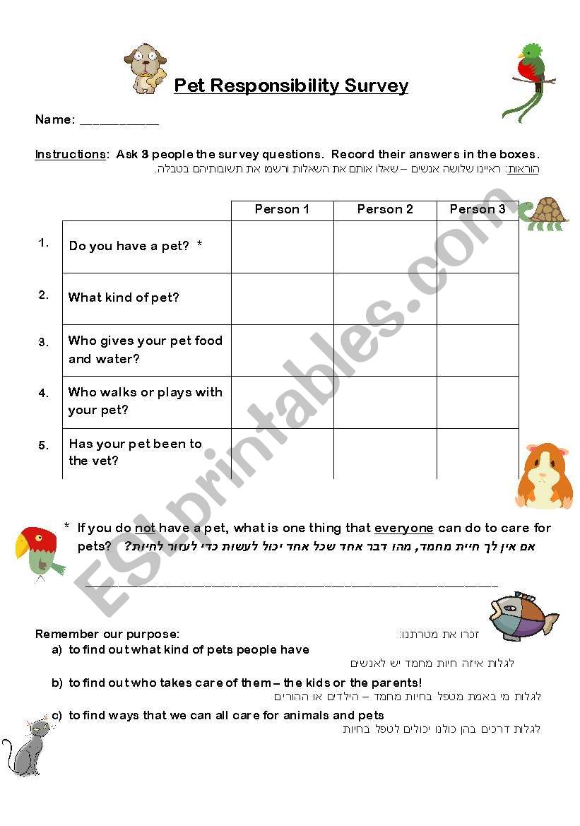 Pet Survey worksheet