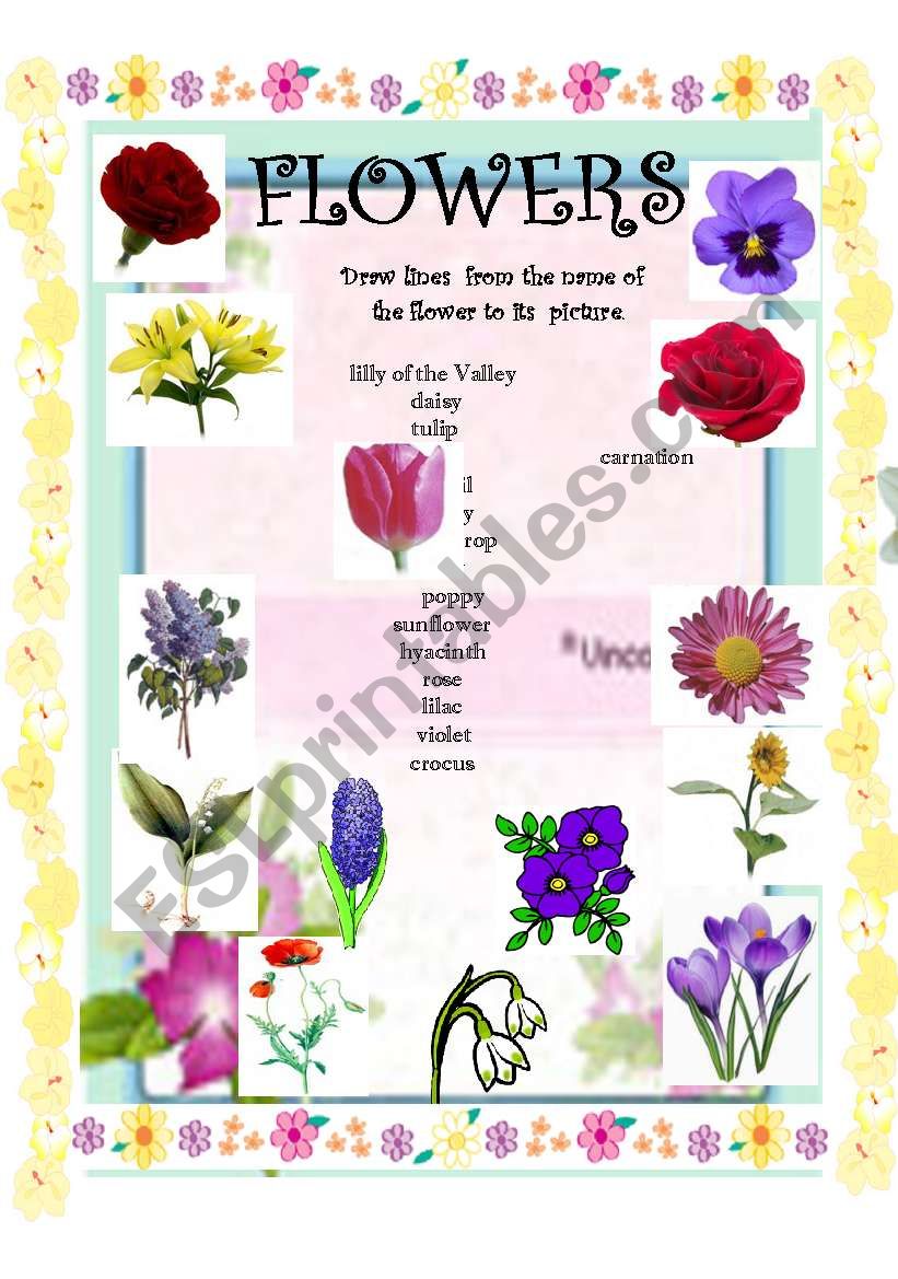 FLOWERS worksheet