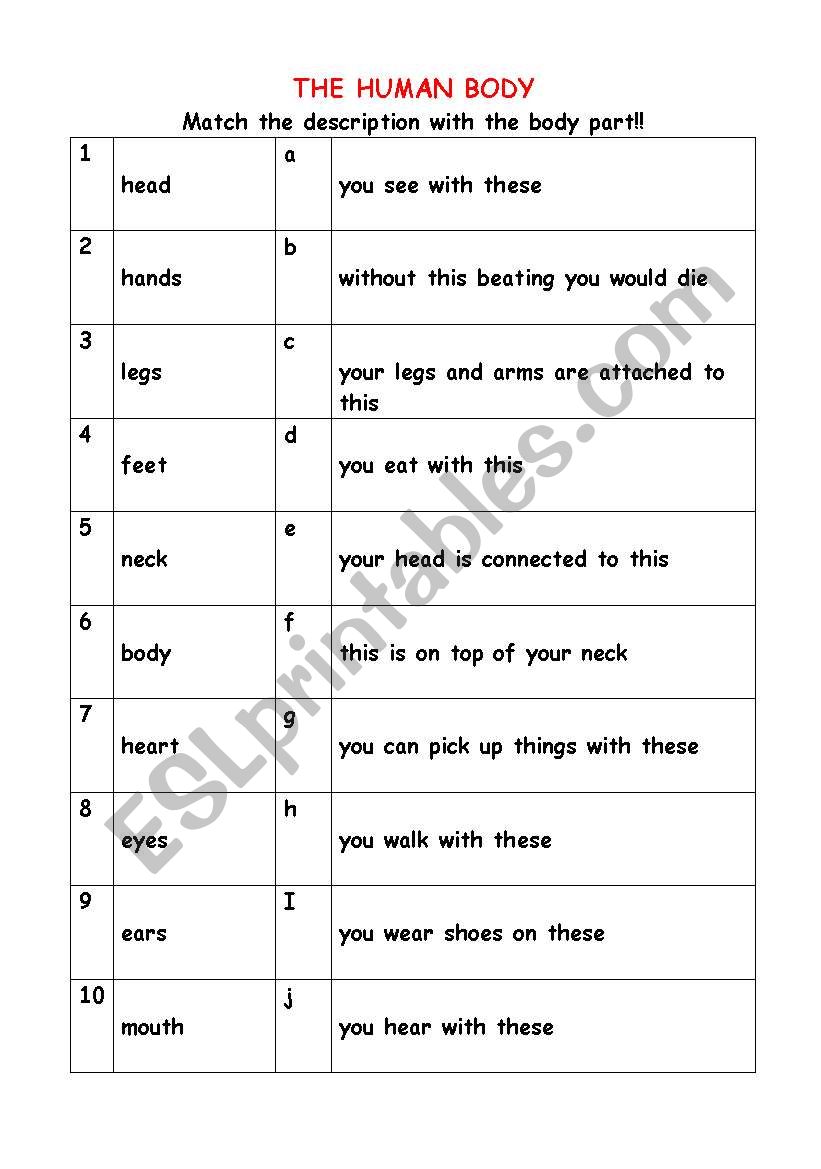 Human Body - descriptions  worksheet