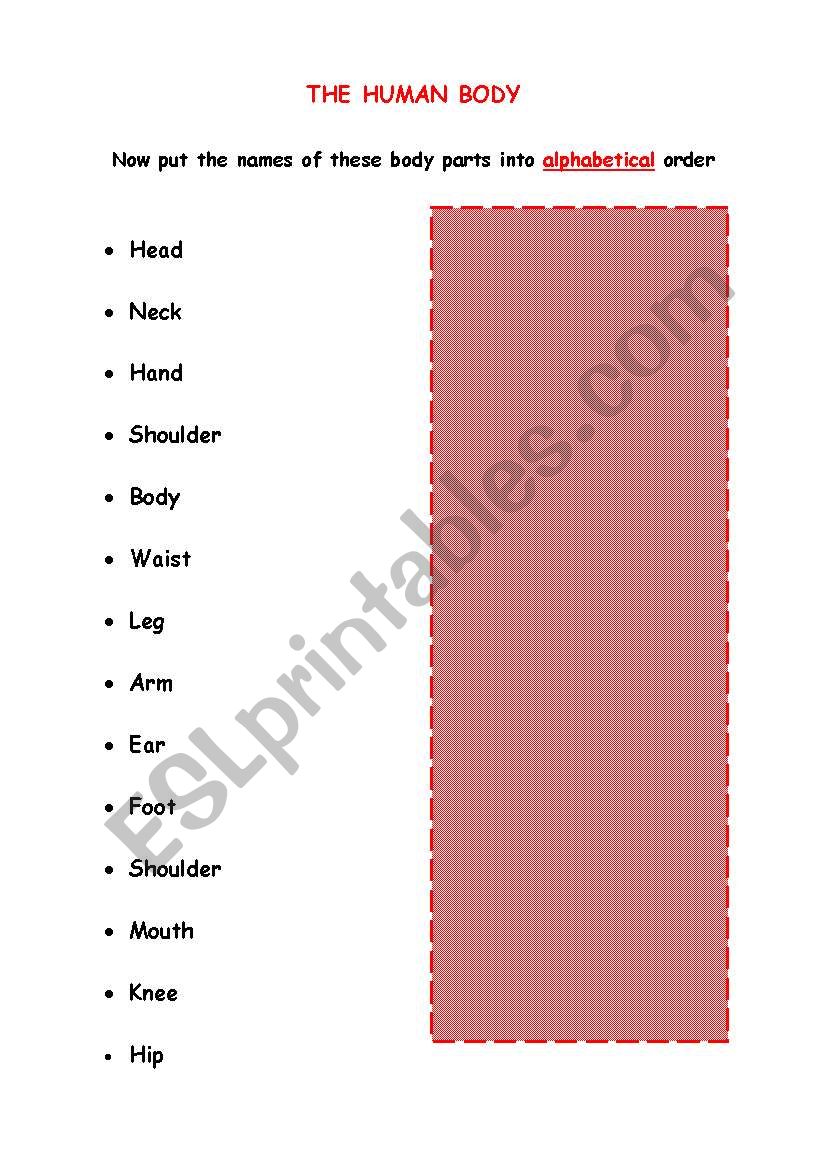 Head to toe - Human Body worksheet